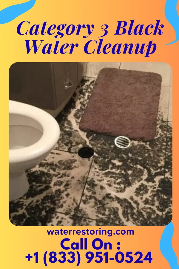 Category 3 Black Water Cleanup in St. David, AZ