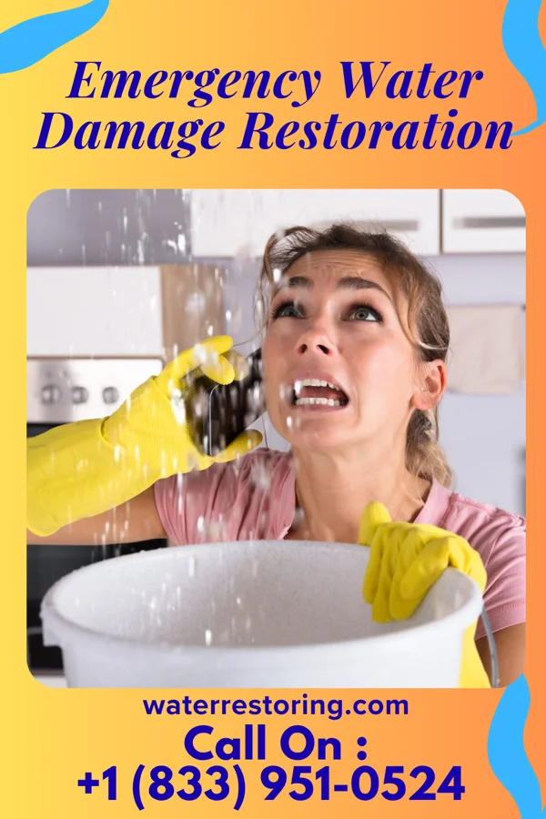 Emergency Water Damage Restoration in St. David, AZ